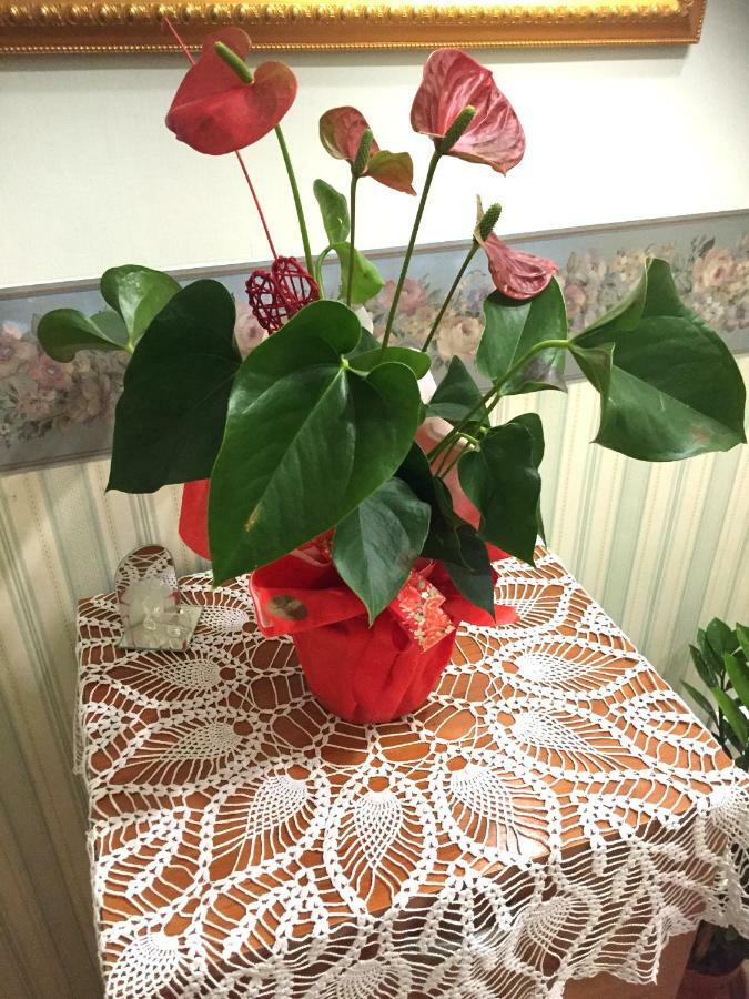 Al.fa Holiday home Syracuse